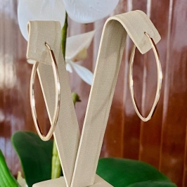 ARGOLA 262