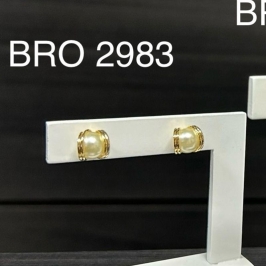 BRINCO 2983