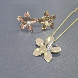 CONJUNTO - CV-966